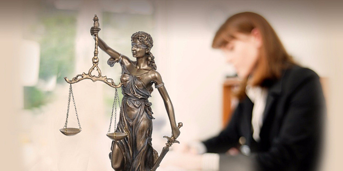 Правовая консультация и изучение первичных документов бесплатно